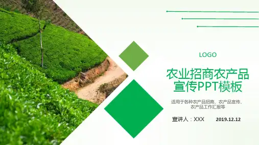 农产品推广方案PPT模板