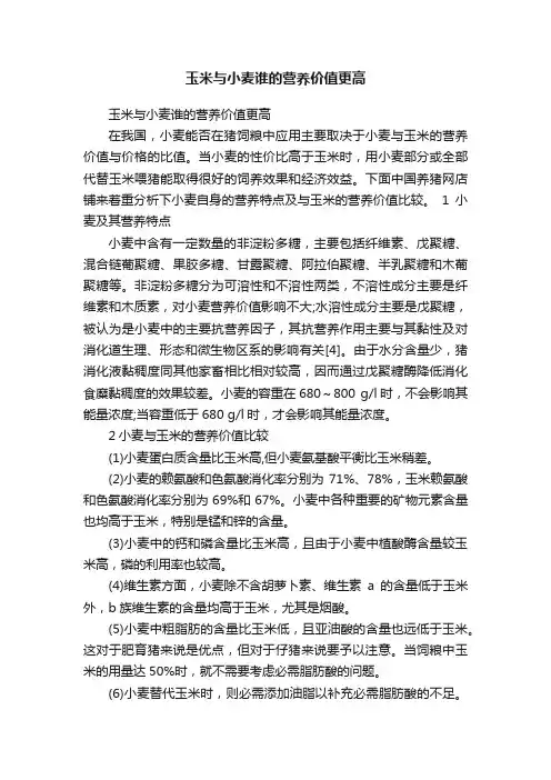 玉米与小麦谁的营养价值更高