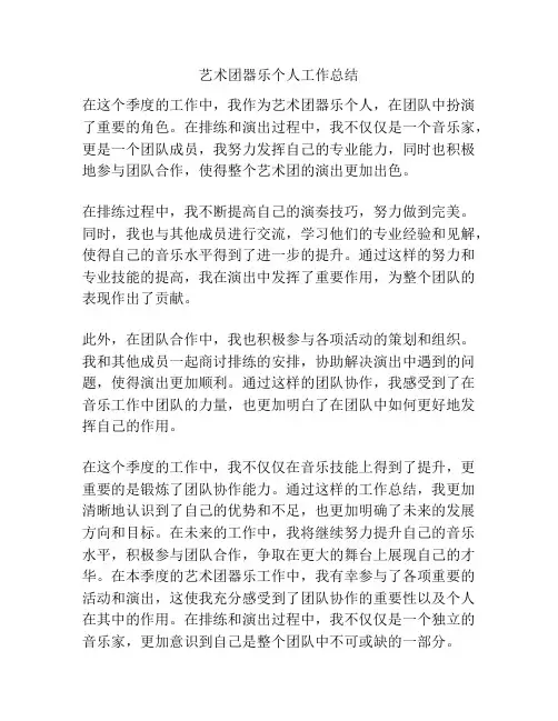 艺术团器乐个人工作总结