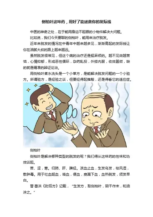 侧柏叶这味药，用好了能拯救你的发际线