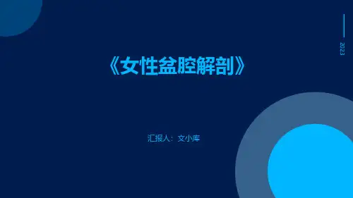 (医学课件)女性盆腔解剖