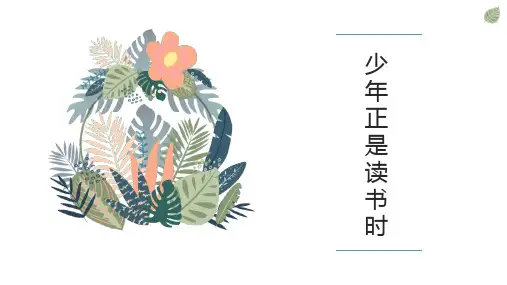 《少年正是读书时》PPT教学课文课件