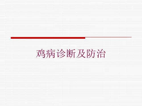 鸡病诊断及防治培训课件
