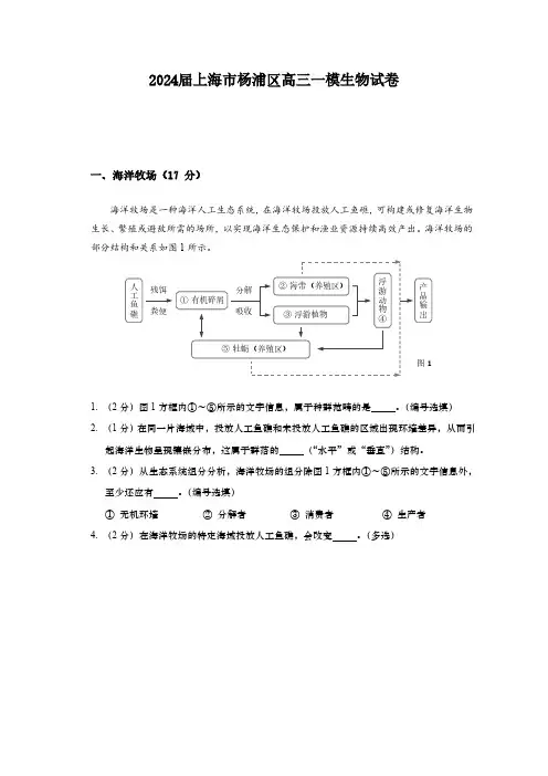 2024届上海市杨浦区高三一模生物试卷(含答案)