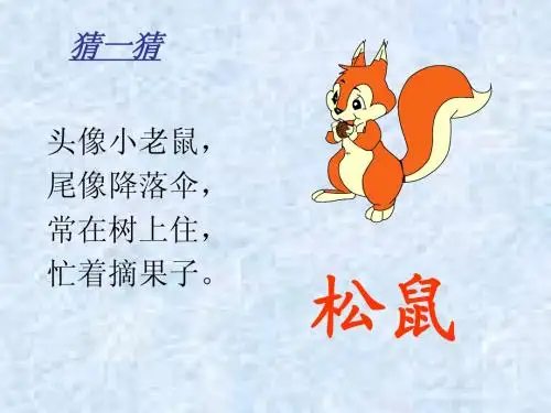 小学一年级语文 第十课 松鼠与松果    松鼠和松果
