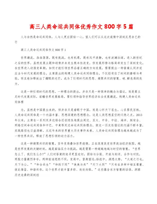 高三人类命运共同体优秀作文800字5篇