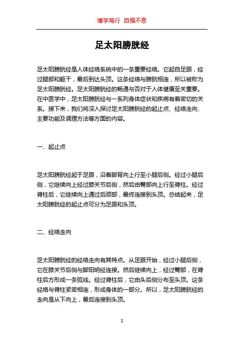 足太阳膀胱经