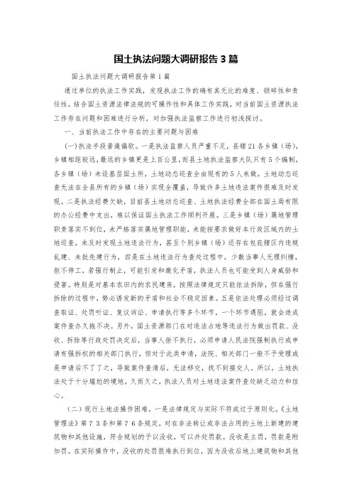 国土执法问题大调研报告3篇