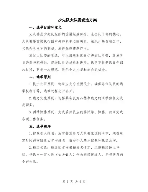 少先队大队委竞选方案