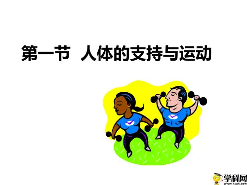江苏省无锡市前洲中学苏科版八年级生物上册课件：6171人体的支持与运动(共42张PPT)