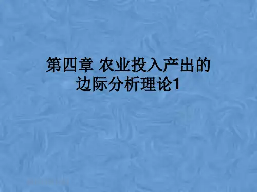 第四章 农业投入产出的边际分析理论1