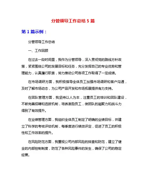 分管领导工作总结5篇
