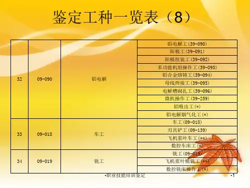 职业技能培训鉴定课件