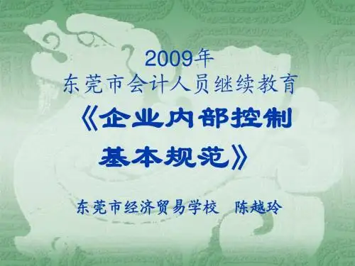 会计人员继续教育《企业内部控制基本规范》