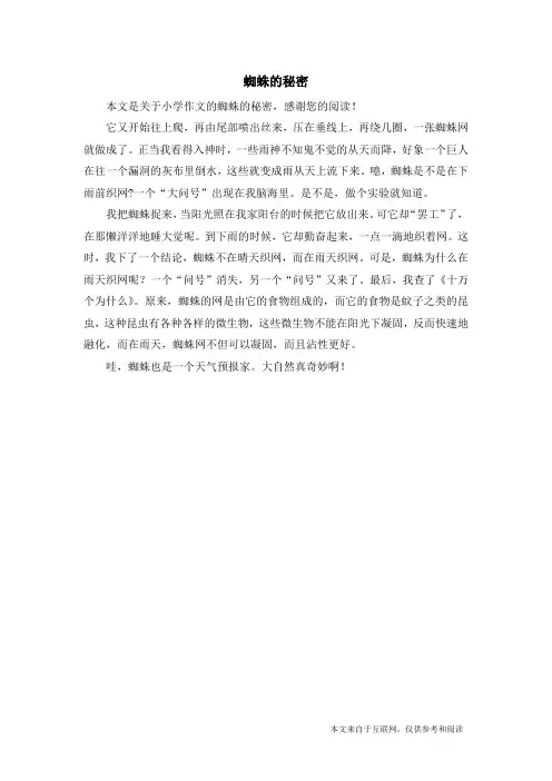 蜘蛛的秘密_小学作文