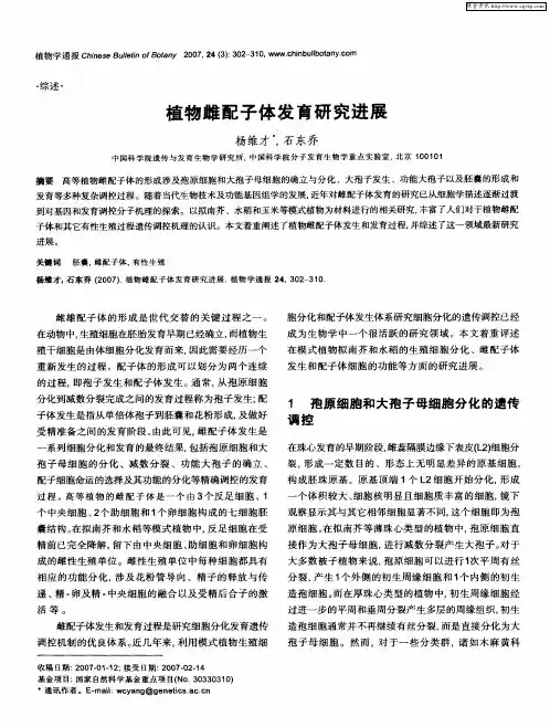植物雌配子体发育研究进展