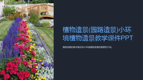 植物造景(园路造景)小环境植物造景教学课件