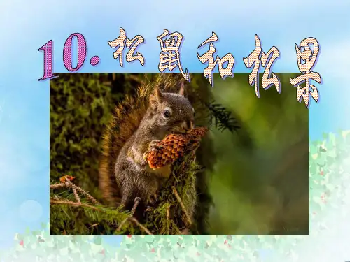 《松鼠和松果》PPT7  图文