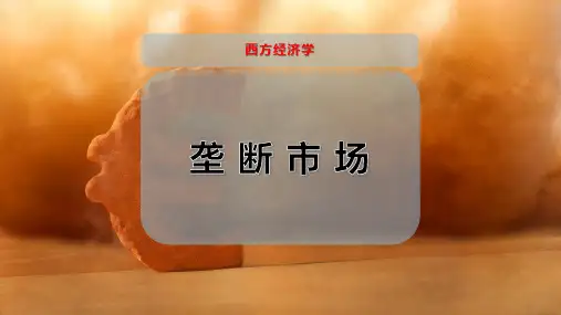 垄-断-市-场PPT模板