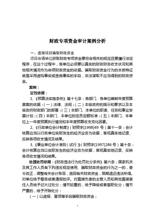 财政专项资金审计案例分析