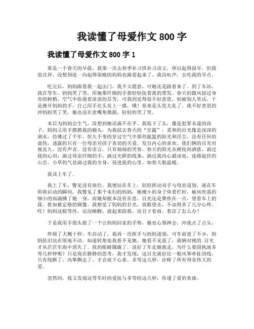 我读懂了母爱作文800字