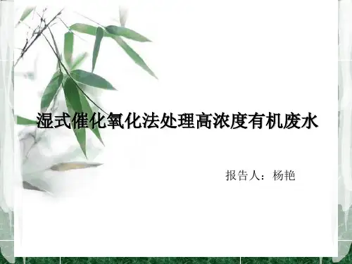 湿式催化氧化法处理高浓度有机废水