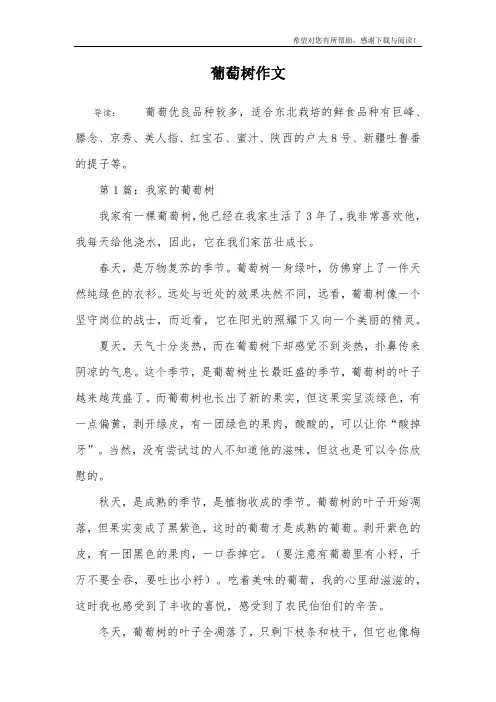 葡萄树作文_1