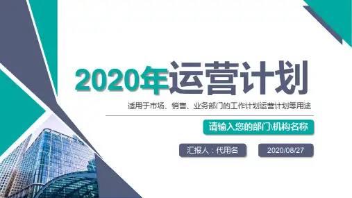 阿里健康大药房运营计划PPT范文