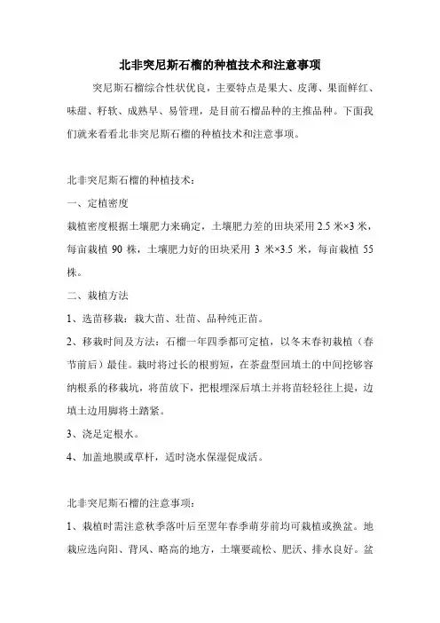 北非突尼斯石榴的种植技术和注意事项.doc