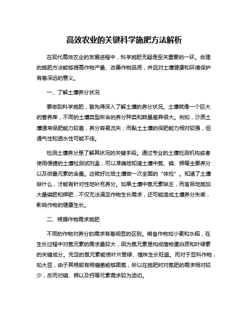 高效农业的关键科学施肥方法解析