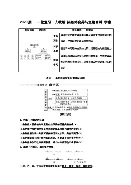2020年高考   一轮复习  人教版 染色体变异与生物育种 学案.doc