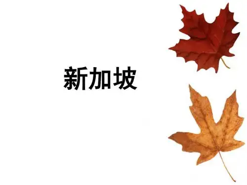 中文完整的新加坡介绍 共89页PPT资料