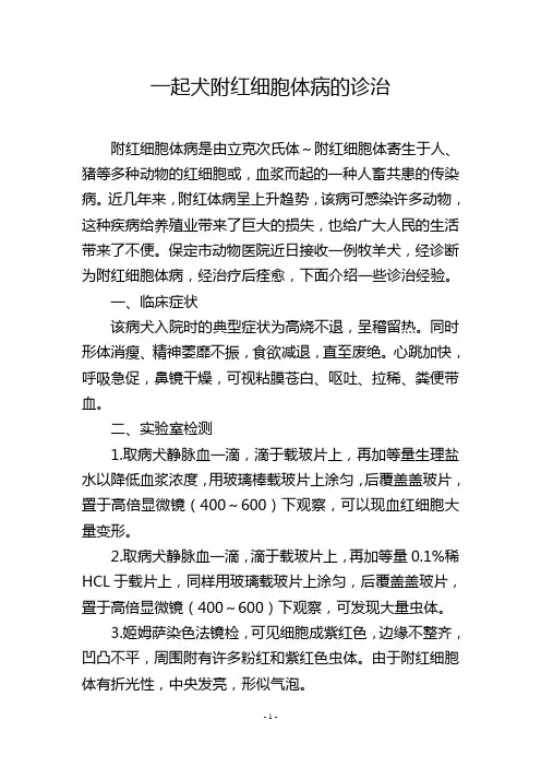 一起犬附红细胞体病的诊治