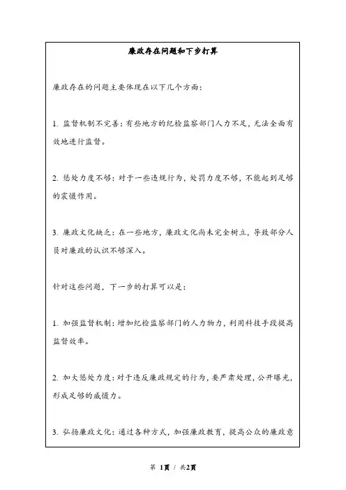 廉政存在问题和下步打算