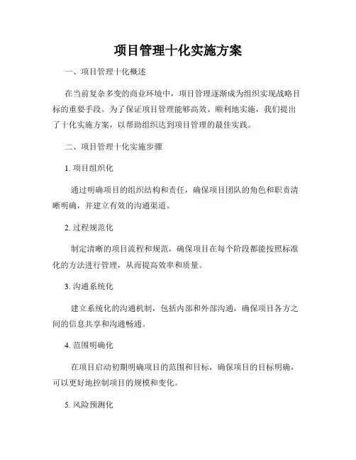 项目管理十化实施方案