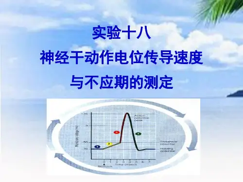 神经干动作电位传导速度与不应期的测定优秀PPT资料