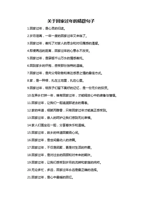 关于回家过年的精辟句子