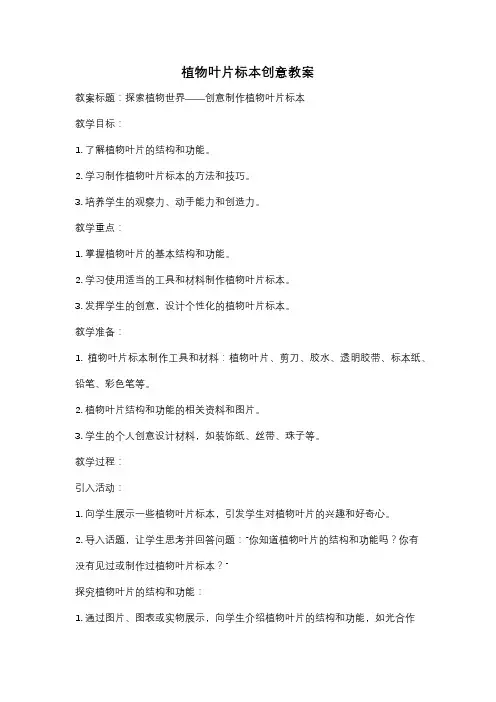 植物叶片标本创意教案