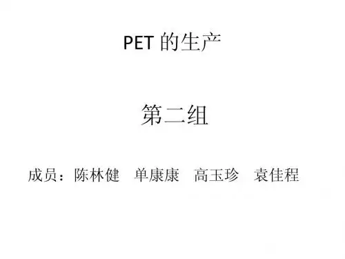 第二组——PET的生产