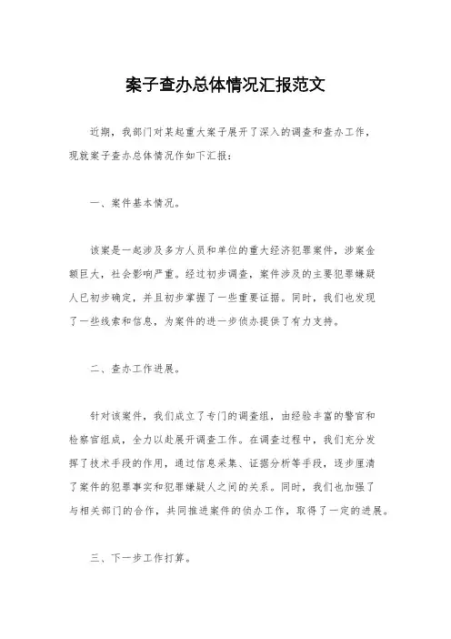 案子查办总体情况汇报范文