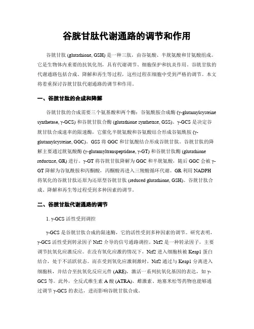 谷胱甘肽代谢通路的调节和作用