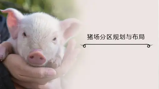 猪场分区规划与布局课件(共18张PPT)《猪生产》