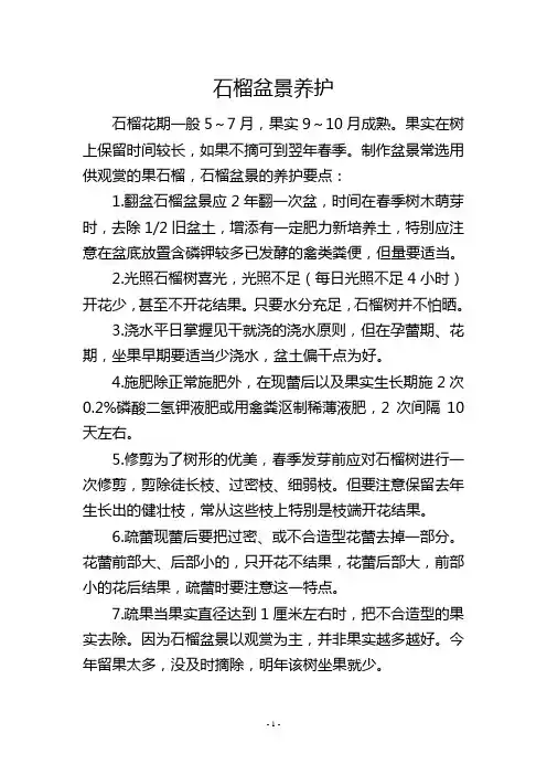 石榴盆景养护