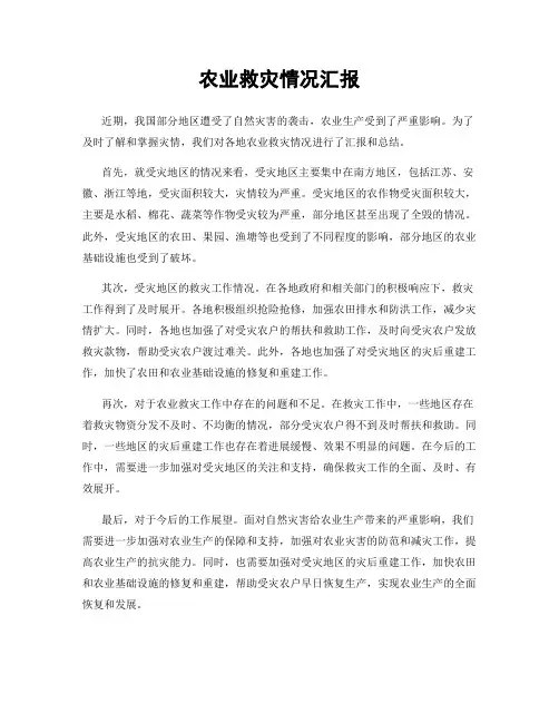 农业救灾情况汇报