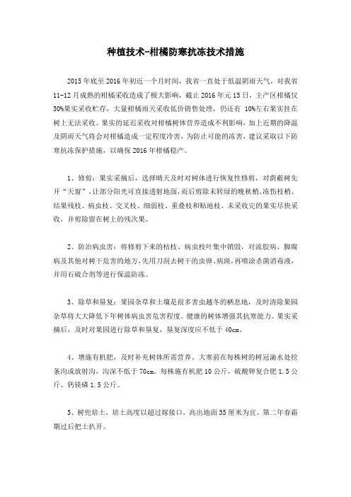 种植技术-柑橘防寒抗冻技术措施