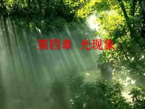 光的直线传播 PPT课件31 人教版