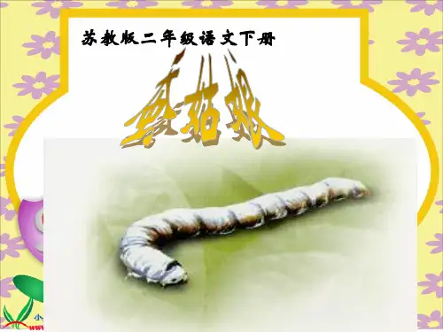 苏教版二年级语文下册课件_2《蚕姑娘》PPT