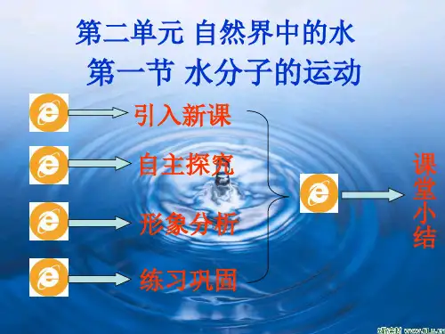 水分子的运动(5)