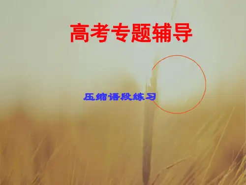 最新-2018年高考语文二轮复习 压缩语段课件1 精品 