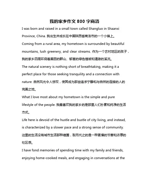 我的家乡作文800字商洛